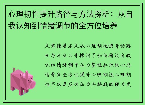 心理韧性提升路径与方法探析：从自我认知到情绪调节的全方位培养