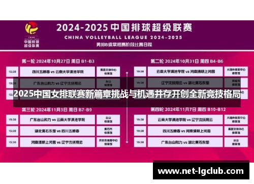 2025中国女排联赛新篇章挑战与机遇并存开创全新竞技格局